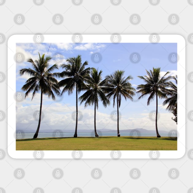 Coconut Palms, Rex Smeal Park, Port Douglas, Queensland Sticker by Kirkcov